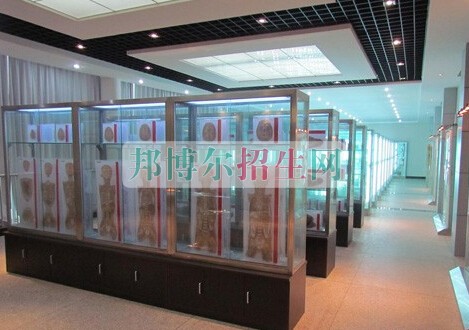 益陽醫(yī)學(xué)高等?？茖W(xué)校