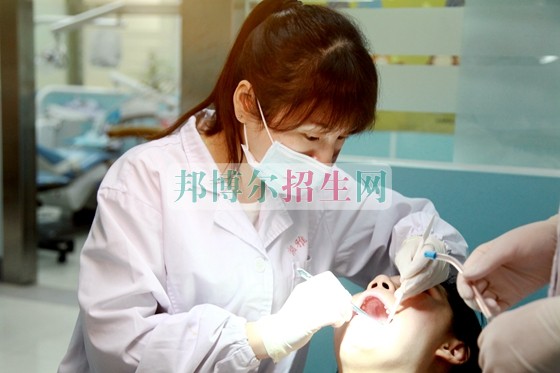 哪個大專學?？谇会t(yī)學好
