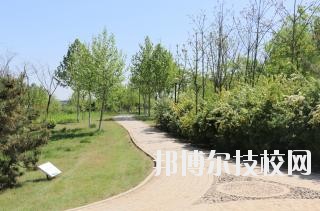 石家莊中英航空中等專業(yè)學(xué)校2020年報名條件、招生要求、招生對象