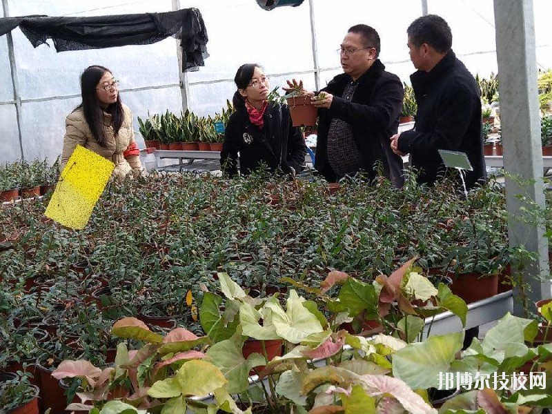 紹興園藝學(xué)校2020年學(xué)費、收費多少 