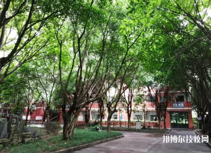 重慶舞蹈學(xué)校2020年報名條件、招生要求、招生對象