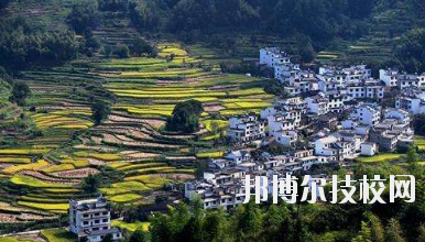 江西婺源茶葉學(xué)校2020年報名條件、招生要求、招生對象