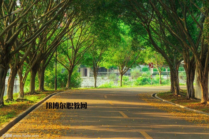 仙桃金園職業(yè)高級中學2020年報名條件、招生要求、招生對象