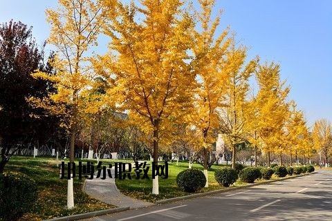 蘄春李時珍中等專業(yè)學(xué)校怎么樣、好不好