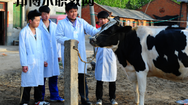 甘南畜牧學(xué)校2020年學(xué)費(fèi)、收費(fèi)多少