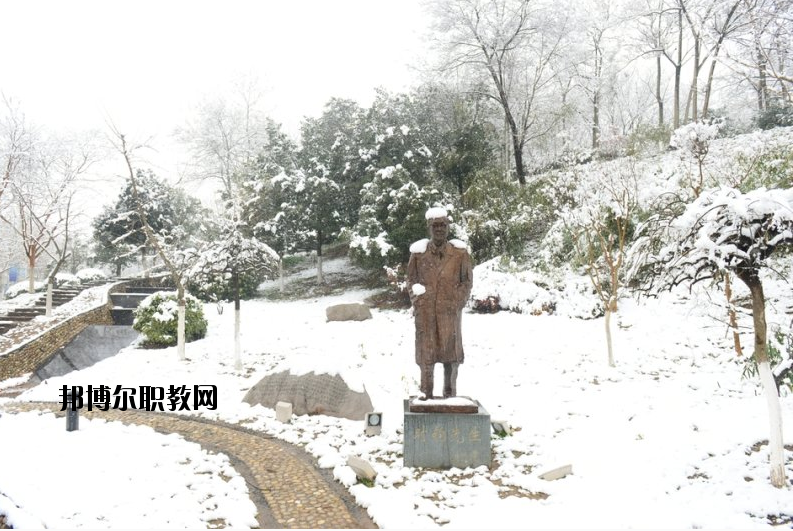 南京工業(yè)大學(xué)2020年報名條件、招生要求、招生對象