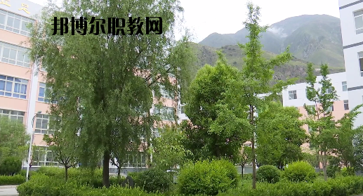 文縣職業(yè)技術(shù)學(xué)校2020年報(bào)名條件、招生要求、招生對(duì)象