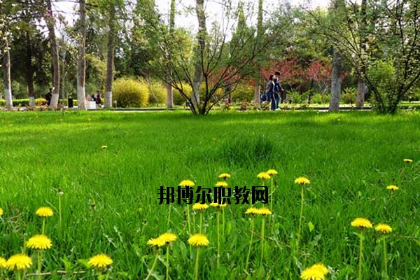 雙江縣職教中心2020年報(bào)名條件、招生要求、招生對(duì)象