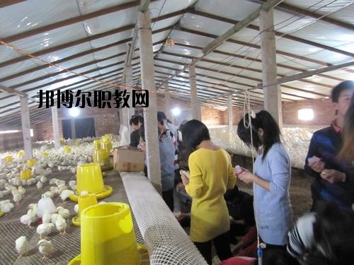 通許中等職業(yè)學(xué)校2021年學(xué)費(fèi)、收費(fèi)多少