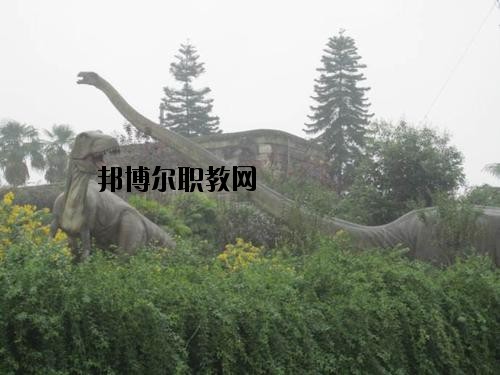 自貢三星職業(yè)技術(shù)學(xué)校2020年報名條件、招生要求、招生對象