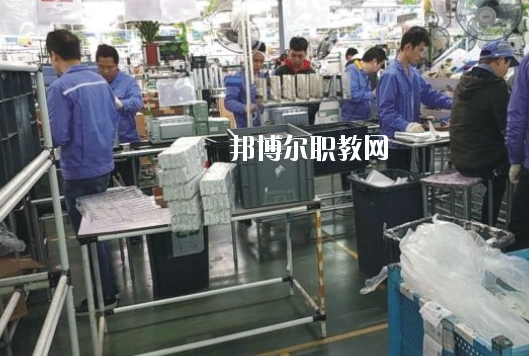 遂溪縣職業(yè)技術(shù)學(xué)校2020年有哪些專(zhuān)業(yè)