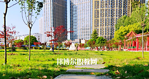 合肥飛躍學(xué)校2020年報(bào)名條件、招生要求、招生對(duì)象 