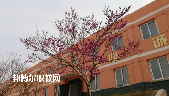 成縣化埡農(nóng)職業(yè)中學怎么樣、好不好