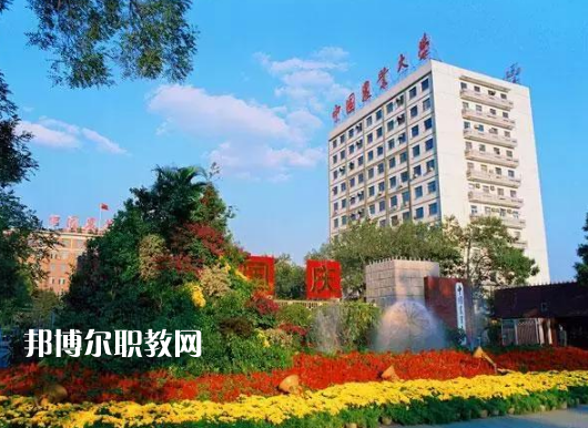 重慶2021年讀中專(zhuān)要初中畢業(yè)證嗎