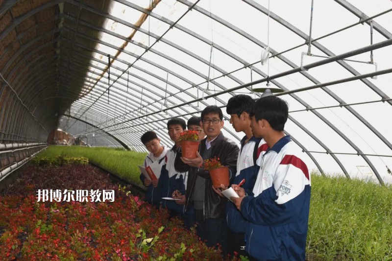 靖遠(yuǎn)職業(yè)教育中心2022年學(xué)費(fèi)、收費(fèi)多少