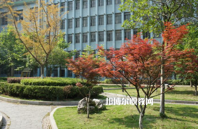 廉江市衛(wèi)生職業(yè)技術(shù)學(xué)校怎么樣、好不好