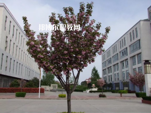 陳倉區(qū)職業(yè)教育中心2022年報(bào)名條件、招生要求、招生對象