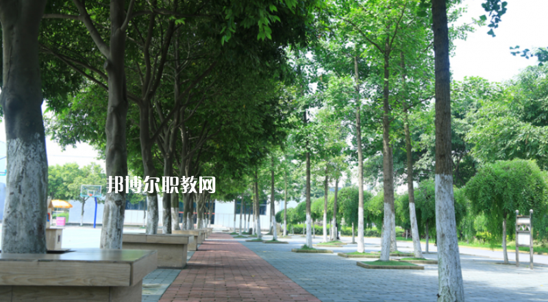 大關(guān)縣職業(yè)高級中學2022年學費、收費多少