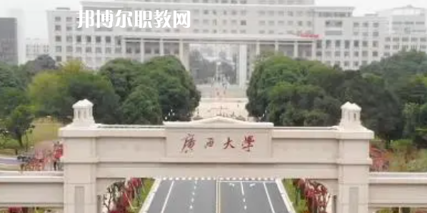 廣西高職?？圃盒Ｅ琶?0強