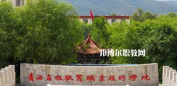 青海高職?？拼髮W(xué)2023年排名(文科)