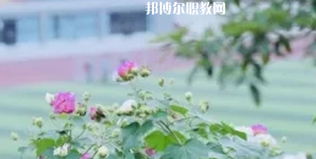 眉山技師學(xué)院地址在哪里，哪個(gè)地區(qū)，哪個(gè)城市?