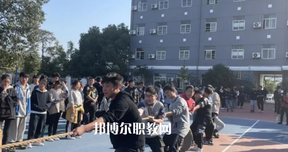 2023杭州僑星中學(xué)招生計(jì)劃 招生人數(shù)是多少(附要求、條件、對(duì)象)
