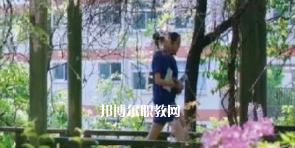 2023金華市成功學(xué)校招生計(jì)劃 招生人數(shù)是多少(附要求、條件、對(duì)象)
