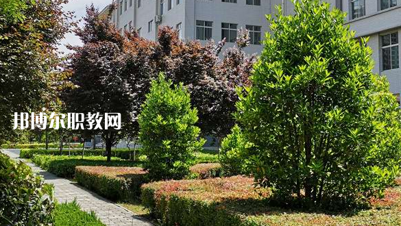 2023渭南技師學院招生計劃 招生人數(shù)是多少(附要求、條件、對象)