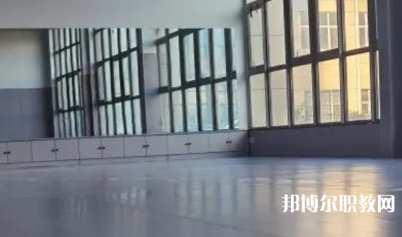 2023秦皇島市藝新舞蹈學(xué)校招生計劃 招生人數(shù)是多少(附要求、條件、對象)