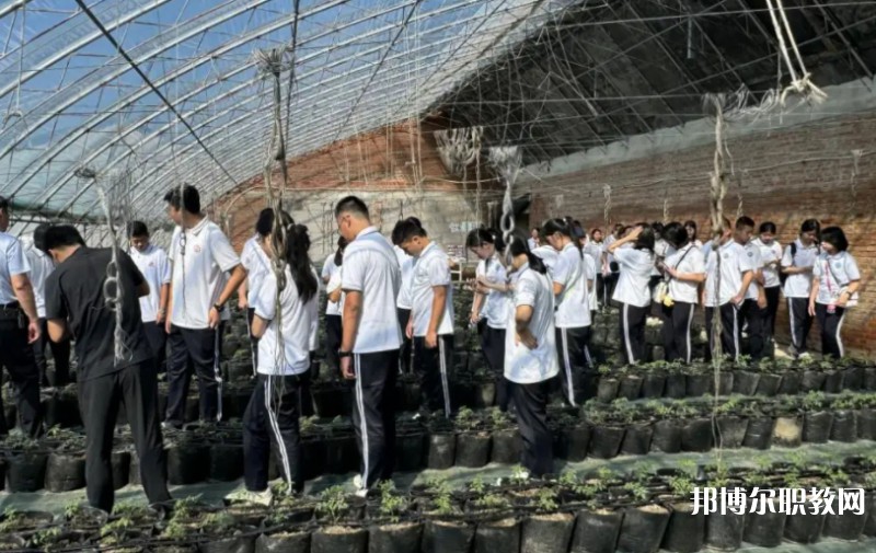 2024營口市農(nóng)業(yè)工程學(xué)校招生計(jì)劃 招生人數(shù)是多少(附要求、條件、對(duì)象)