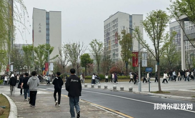 2025合肥技師學院招生計劃 招生人數(shù)是多少(附要求、條件、對象)